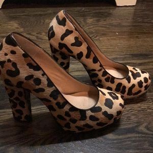 Leopard Steve Madden heels